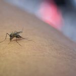IMG_20220819_215827_(707_x_400_piksel)