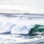 IMG-20240117-WA0002