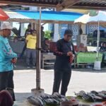 IMG-20241012-WA0033