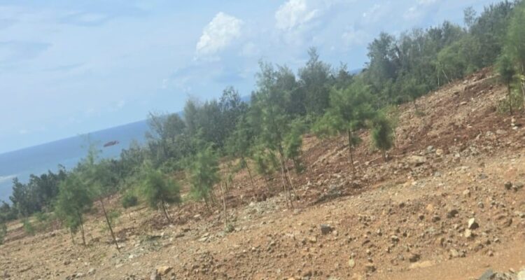 IMG-20251206-WA0157